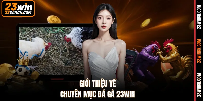 Giới thiệu về chuyên mục đá gà 23WIN